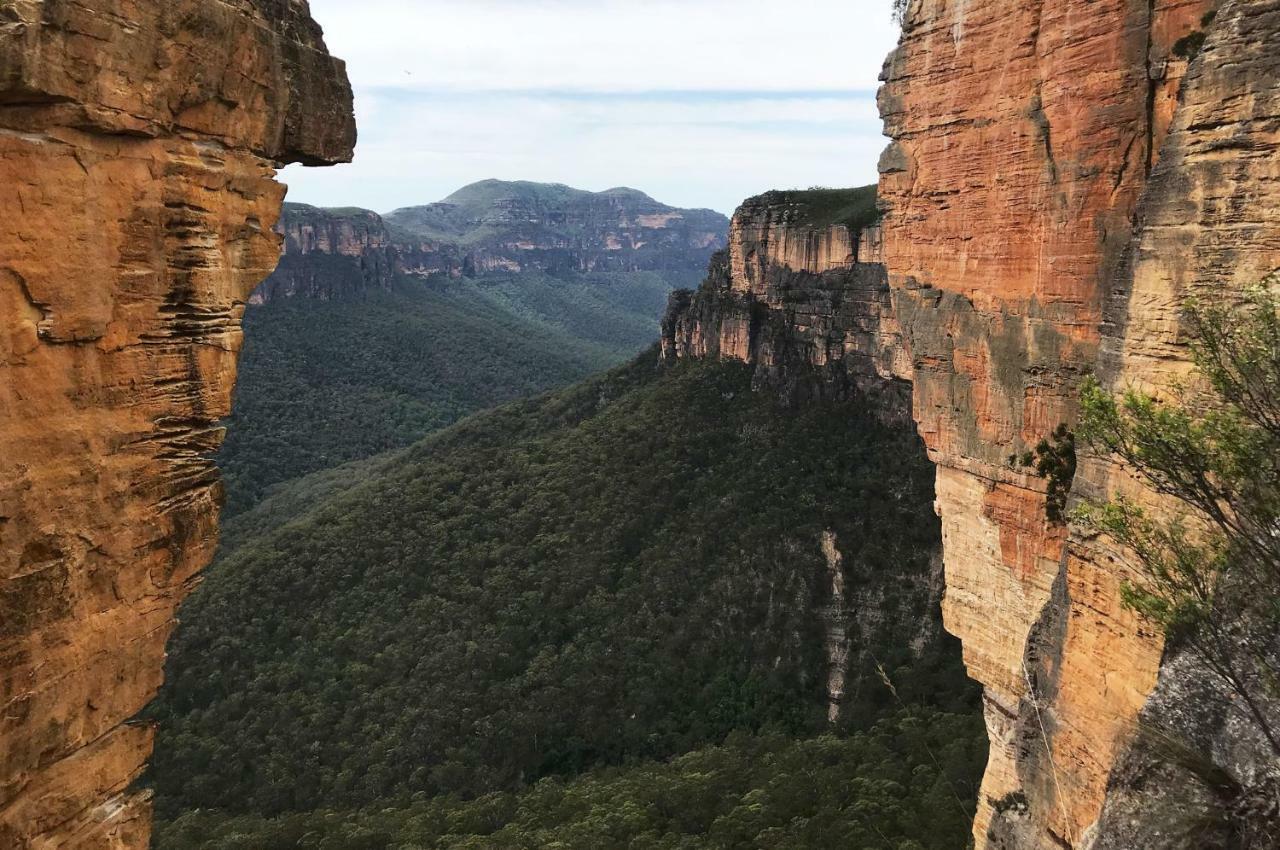 Ribbon Gum Lodge Katoomba Exterior foto